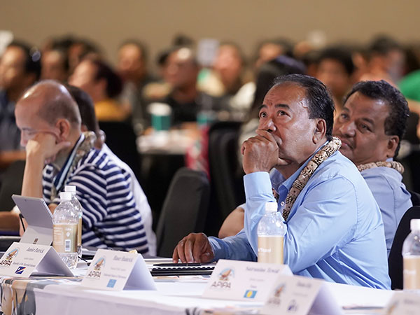 APIPA 2019